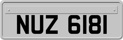 NUZ6181