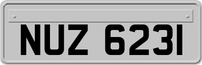 NUZ6231