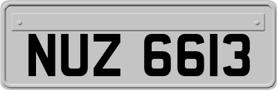 NUZ6613