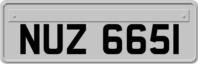 NUZ6651