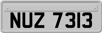 NUZ7313