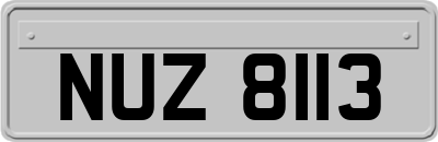 NUZ8113