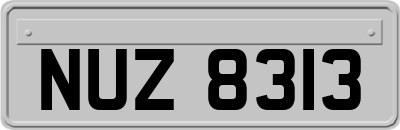 NUZ8313