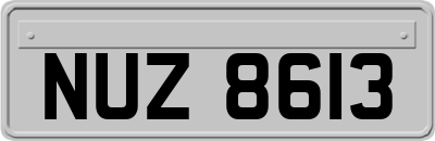 NUZ8613