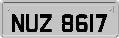 NUZ8617