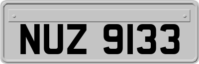 NUZ9133