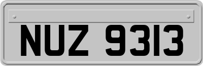 NUZ9313