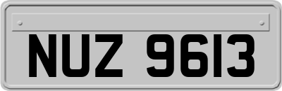 NUZ9613