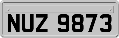 NUZ9873