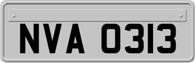 NVA0313