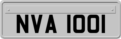 NVA1001