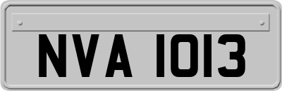 NVA1013