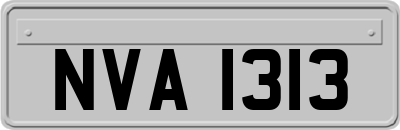 NVA1313