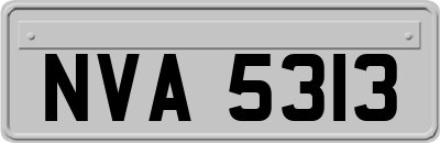 NVA5313