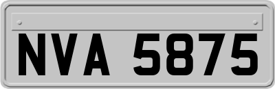 NVA5875