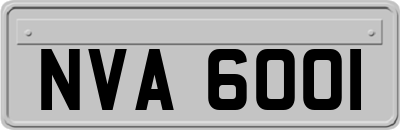 NVA6001