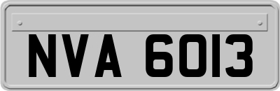 NVA6013