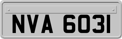 NVA6031