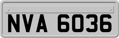 NVA6036