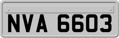NVA6603