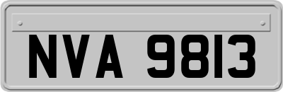 NVA9813