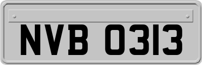 NVB0313