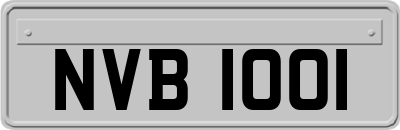 NVB1001