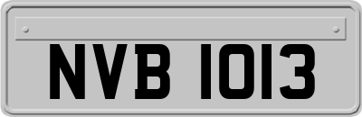 NVB1013