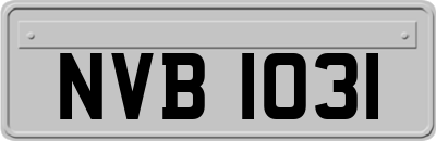 NVB1031