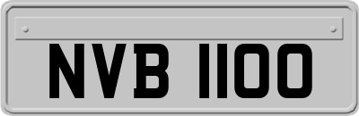 NVB1100