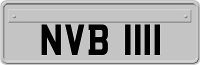 NVB1111