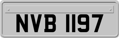 NVB1197