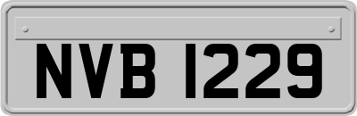 NVB1229