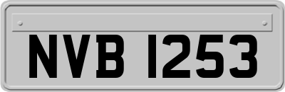NVB1253