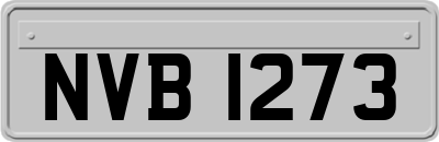 NVB1273