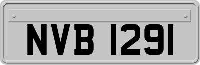 NVB1291