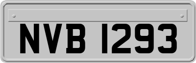 NVB1293