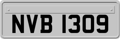 NVB1309