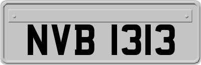 NVB1313