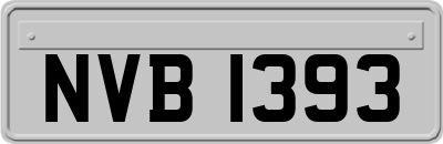 NVB1393