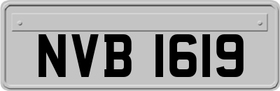 NVB1619