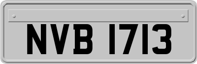 NVB1713