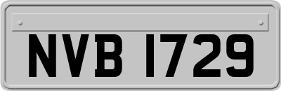 NVB1729