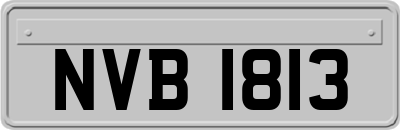 NVB1813