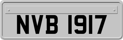 NVB1917