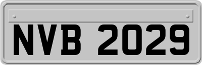 NVB2029