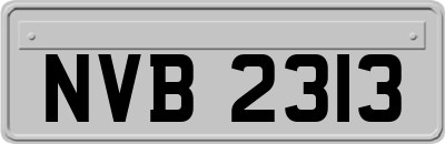 NVB2313