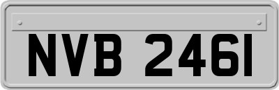 NVB2461