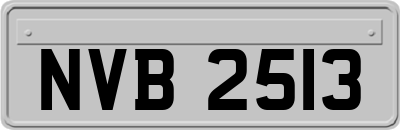 NVB2513