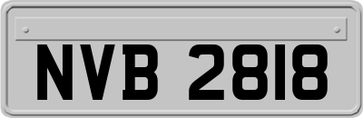 NVB2818